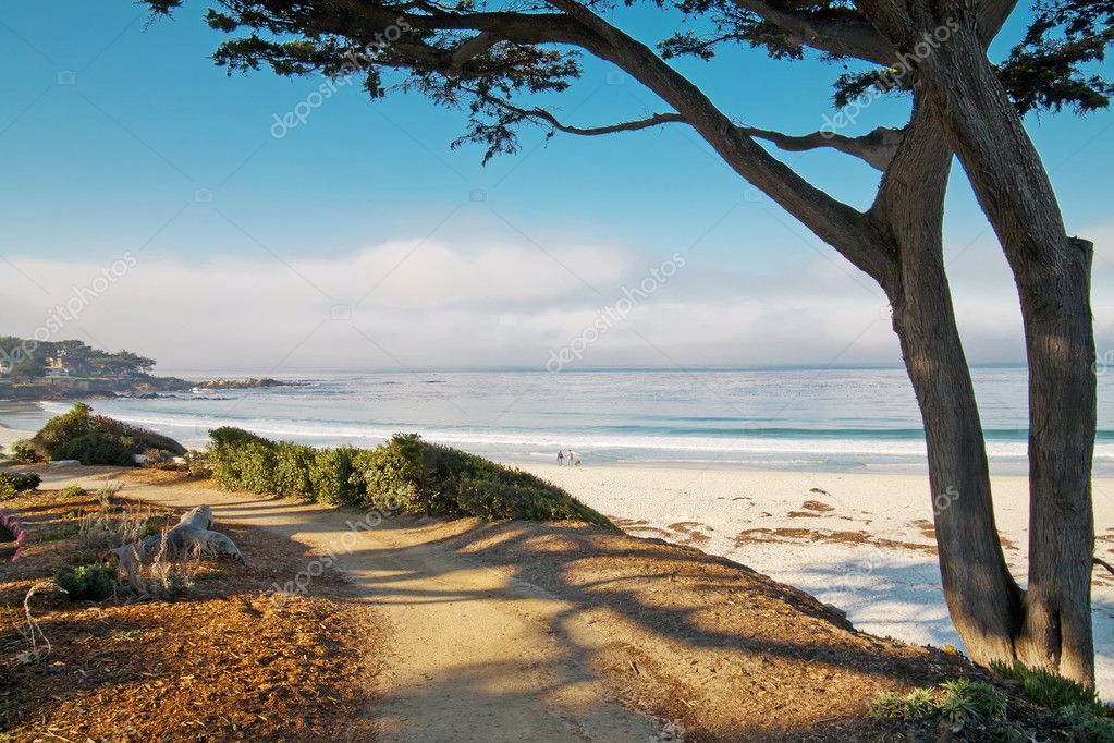 depositphotos_11528116-stock-photo-white-sand-beach-and-trail